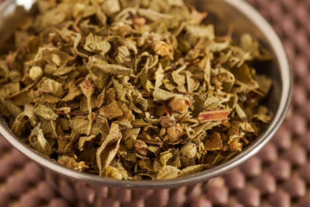 Mexican oregano in a bowl