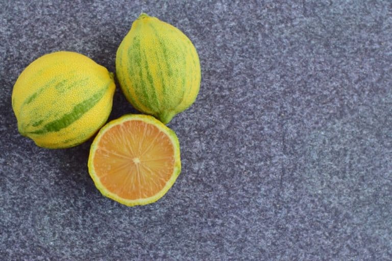 What are the different types of lemon varieties?