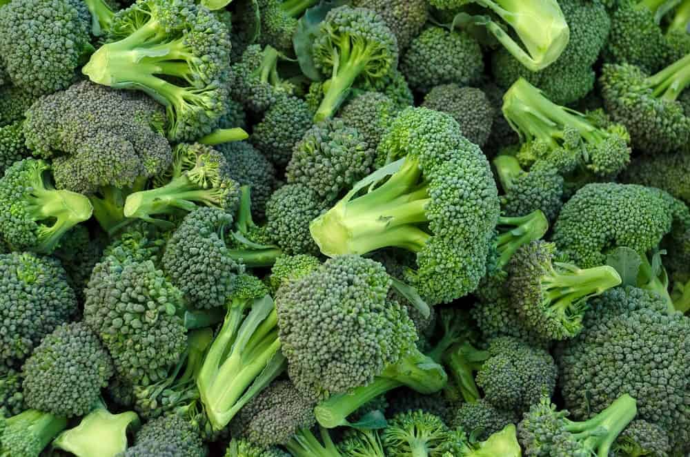 fresh Broccoli