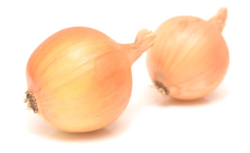 Two Spanish Onions