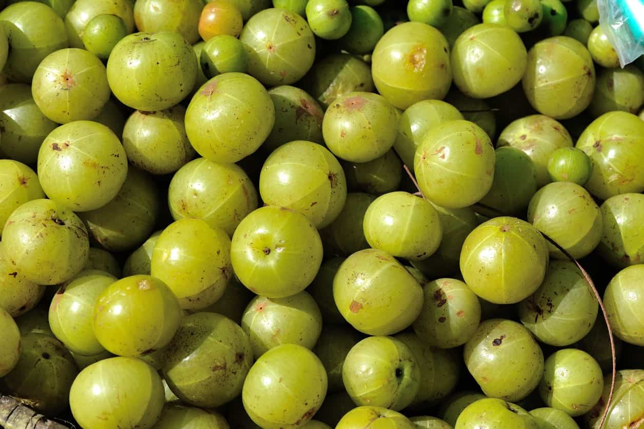 Indian gooseberries