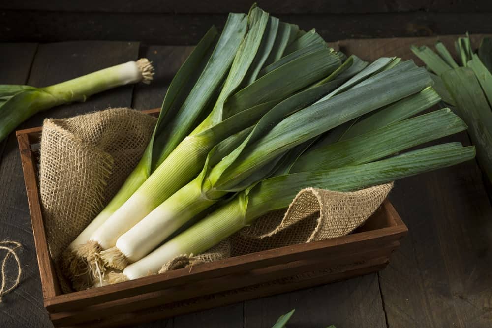 Green Organic Leeks