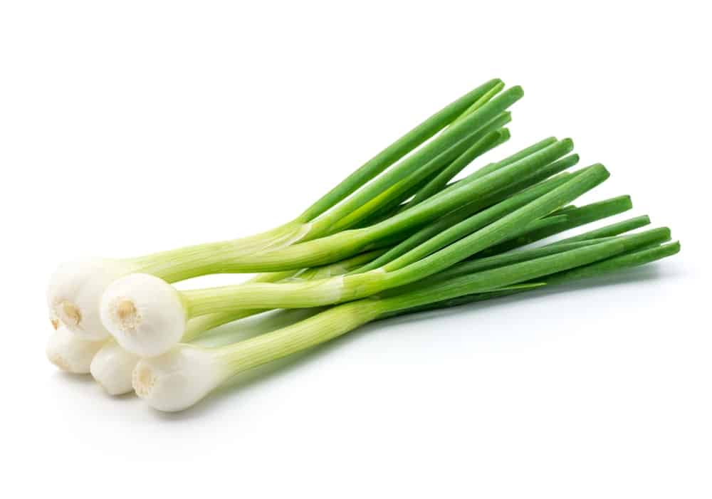 Green onion Green onion