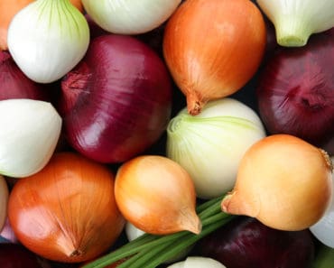 Variety of onions