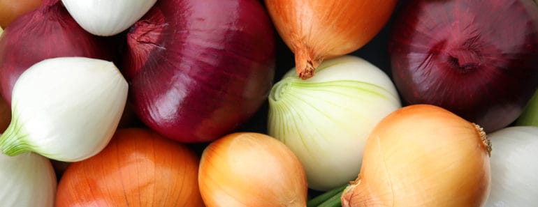 Variety of onions