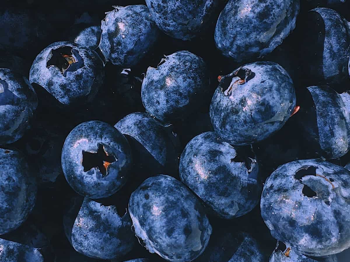Blueberry Fruits