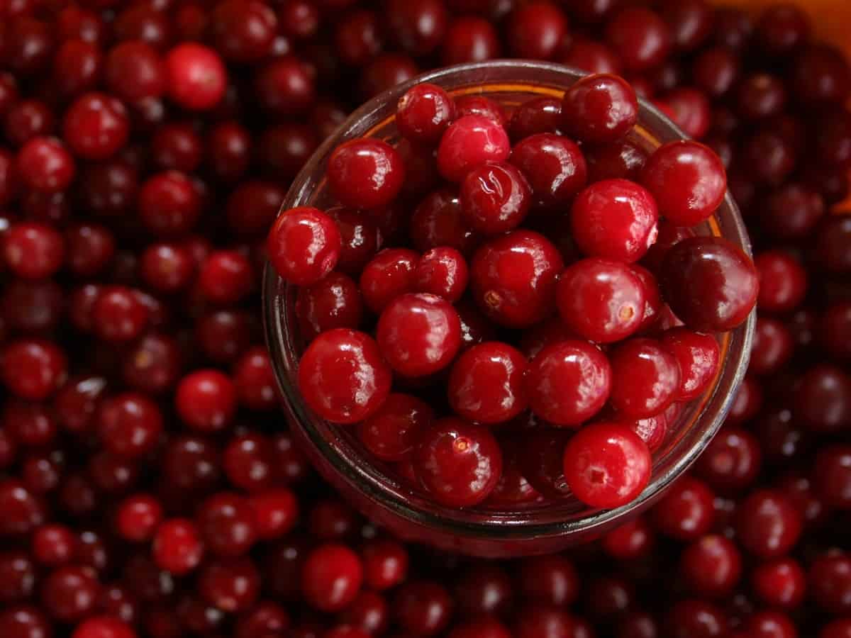 Cranberry