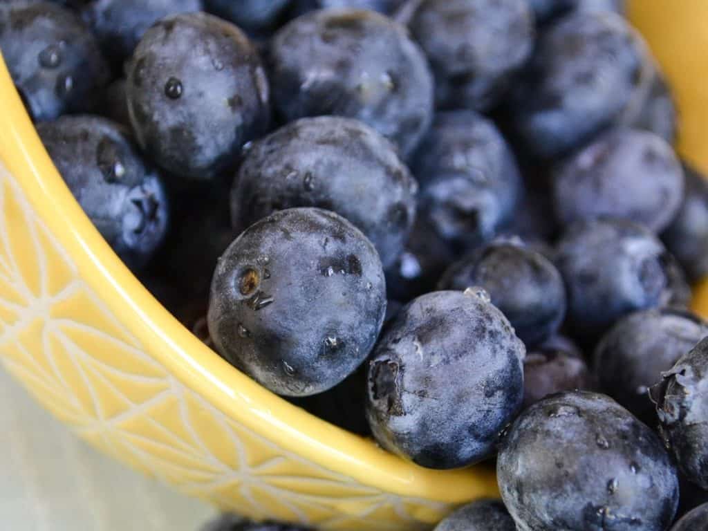 big bowl of blueberries