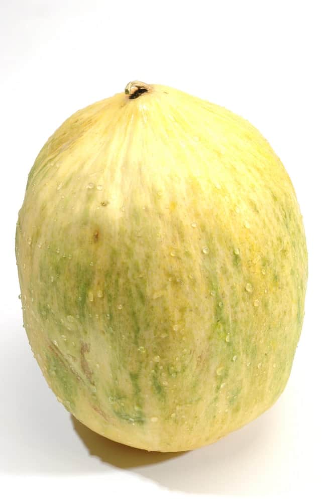 A large and juicy piece of Crenshaw melon fruit.