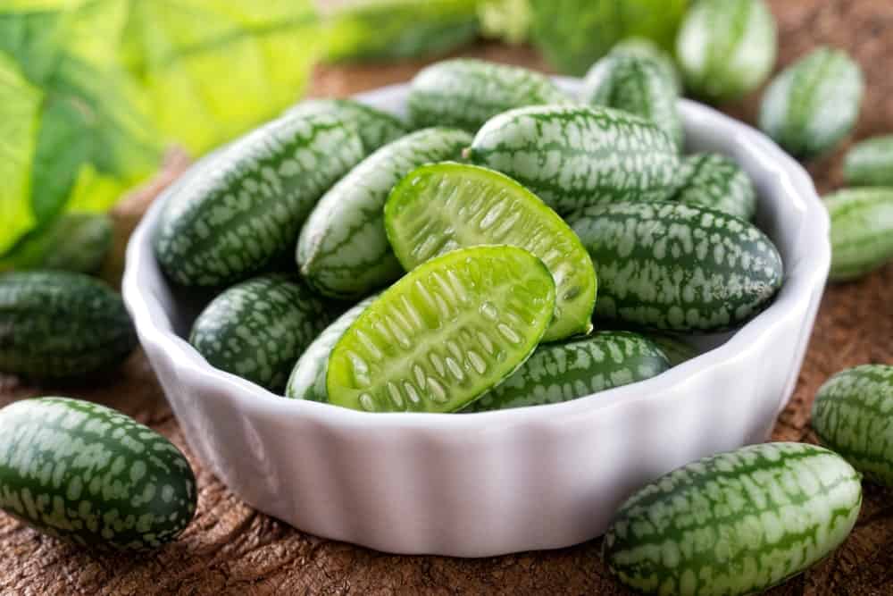 Freshly harvested cucamelons in a bowl.