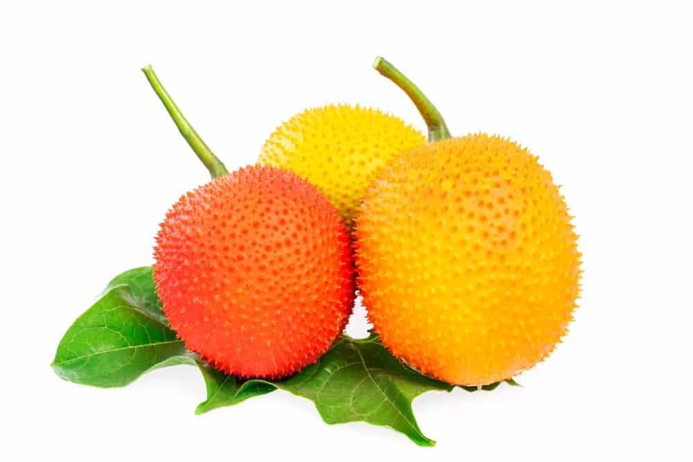 Three pieces of Gac Melon fruits with its leaves on a white background.