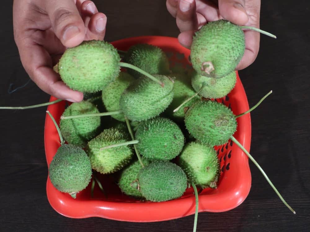 A basket of delicious ripe Kantola Melons.