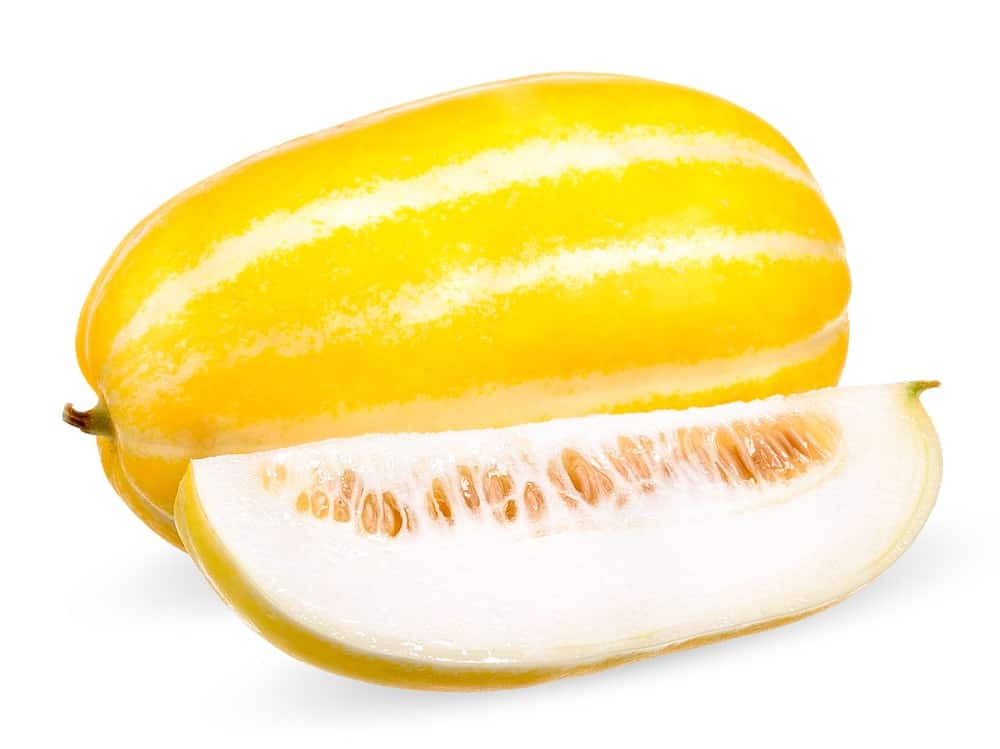 A bright yellow with white stripes Korean Melon.