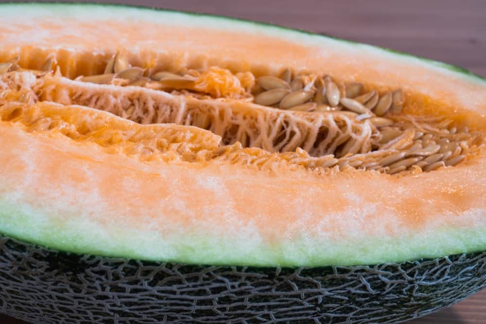 A close-up of a New Century melon or Chinese Hami Melon.