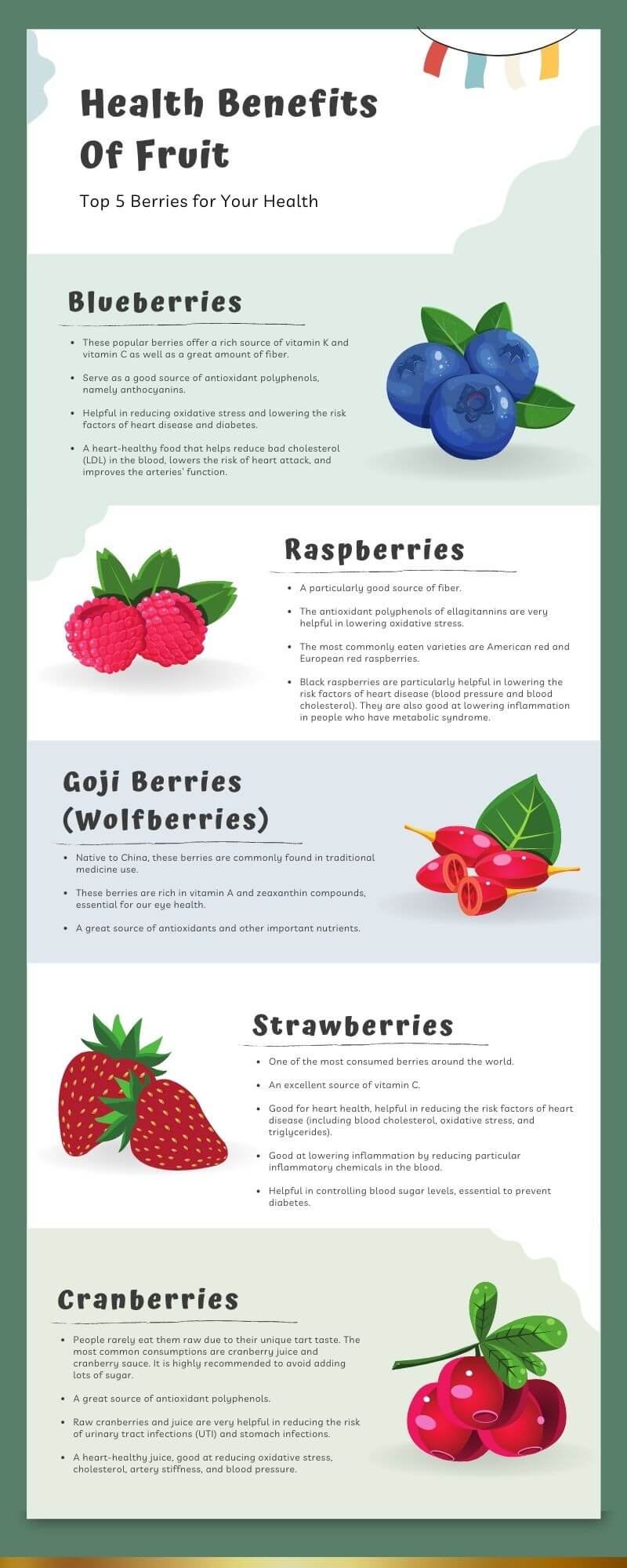 health benefits of berries infographic
