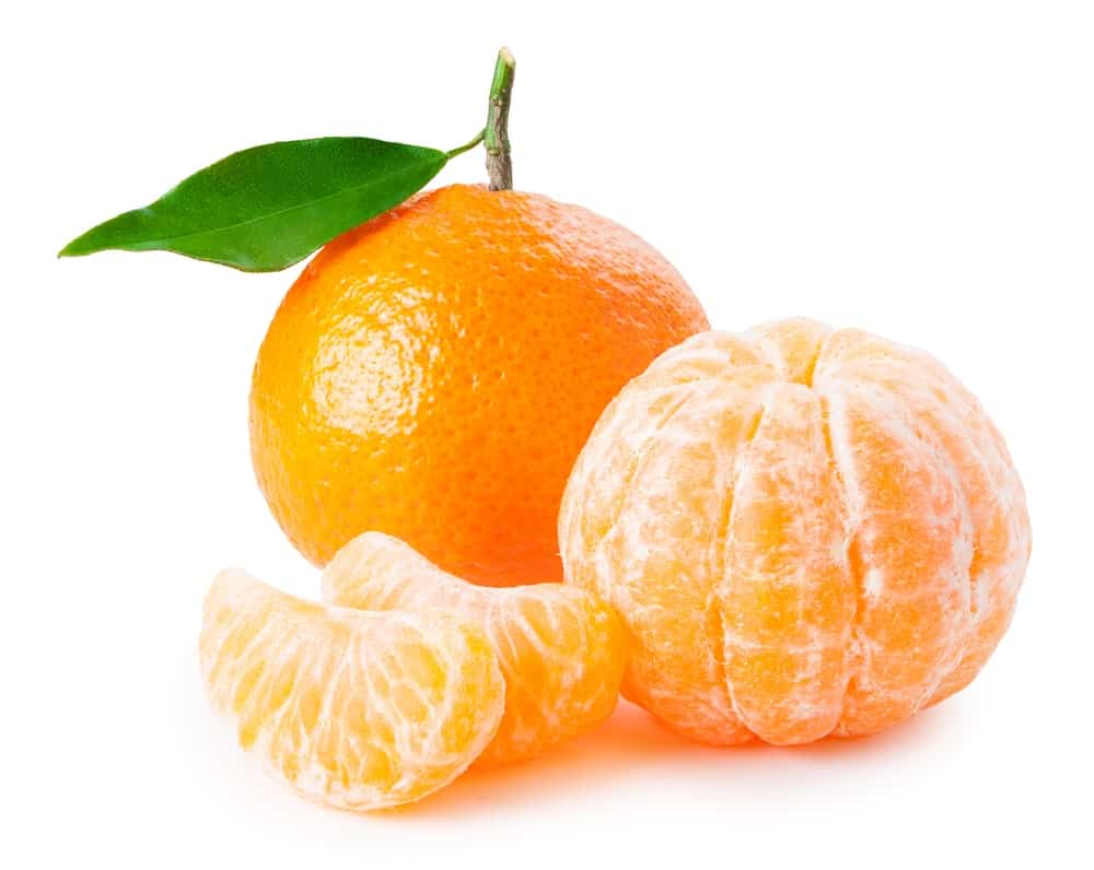 Die besten Favoriten - Suchen Sie bei uns die Citrus medica entsprechend Ihrer Wünsche