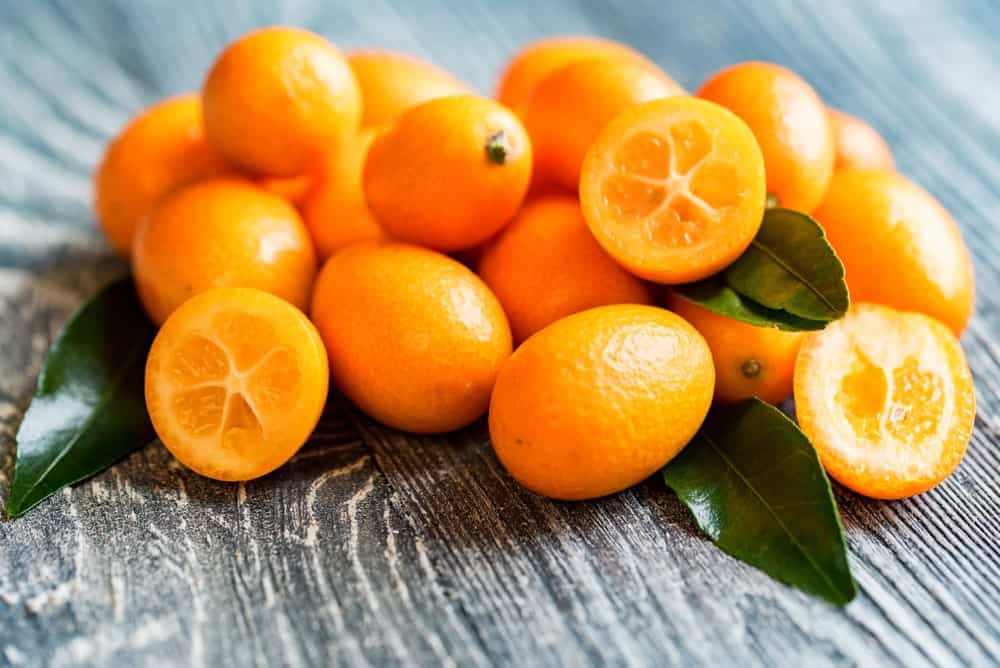 Unsere Top Produkte - Wählen Sie die Citrus medica entsprechend Ihrer Wünsche