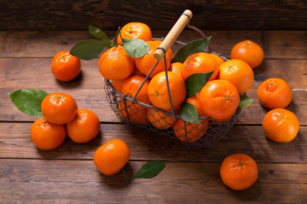 A wire basket full of tangerines surrounded by more tangerines on a wooden background.