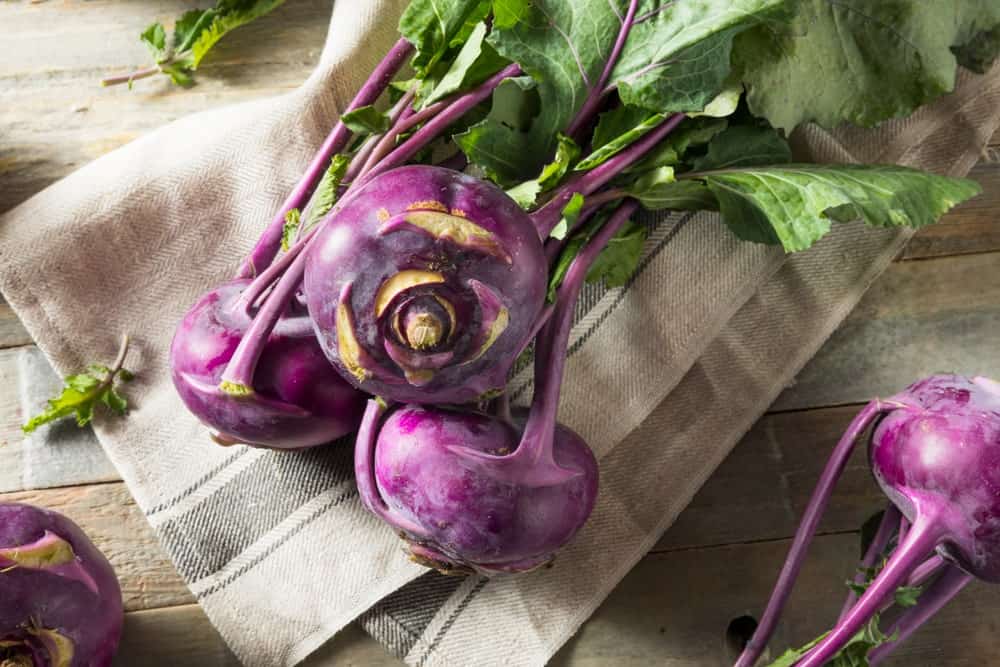 Purple colored kohlrabi 