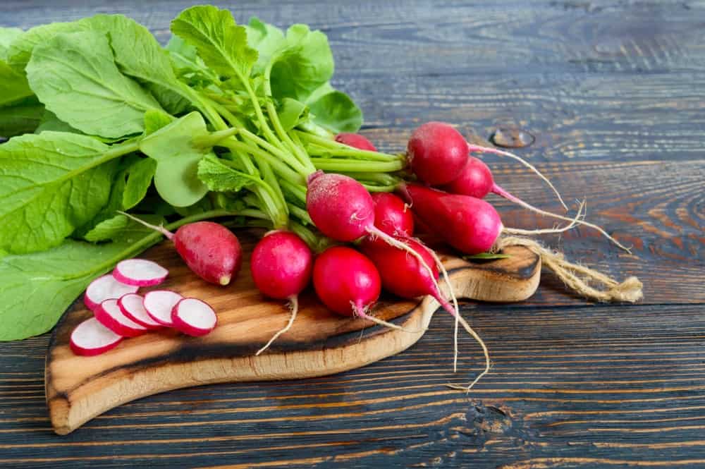 Summer harvested radishes 