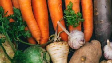 Carrots, parsley, turnip, and onions on display