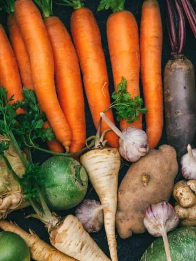 Different Types of Root Vegetables