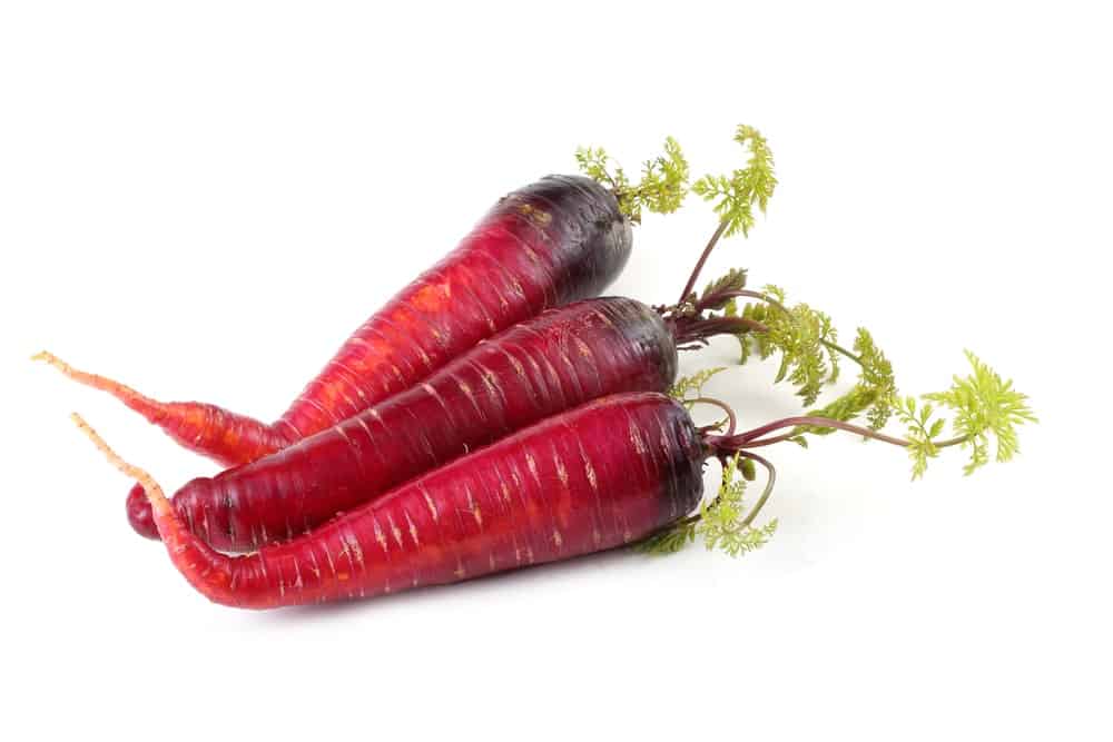 Three pieces of Atomic Red Carrots with leaves on a white background.