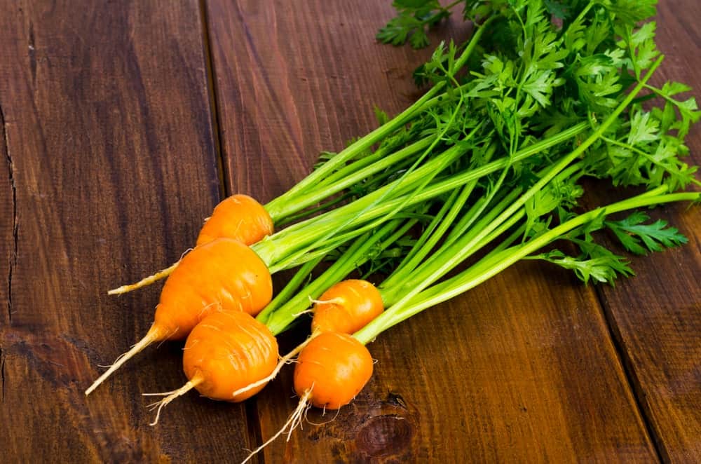 A bunch of small Golden Ball Carrots on a wooden table.