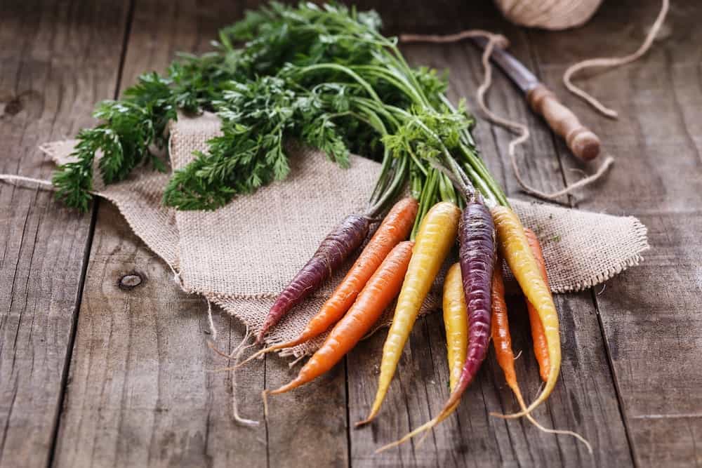 A bunch of colorful Kaleidoscope Mix Carrots on a wooden table.