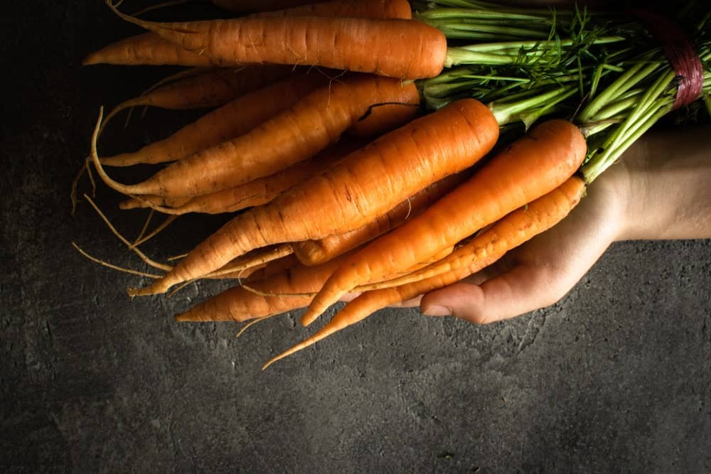 A bunch of healthy organic Nantes carrots.