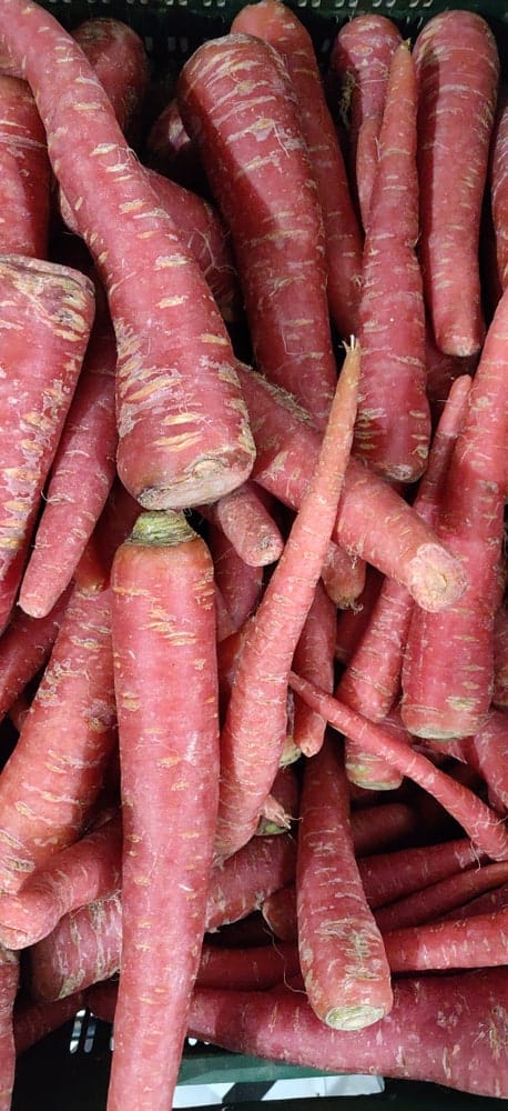 Cleaned bunch of Red Core Carrots for sale in a crate.