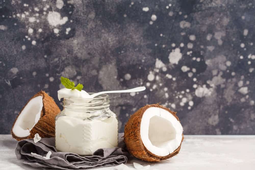 A jar filled with creamy coconut yogurt decorated with coconuts on the side.