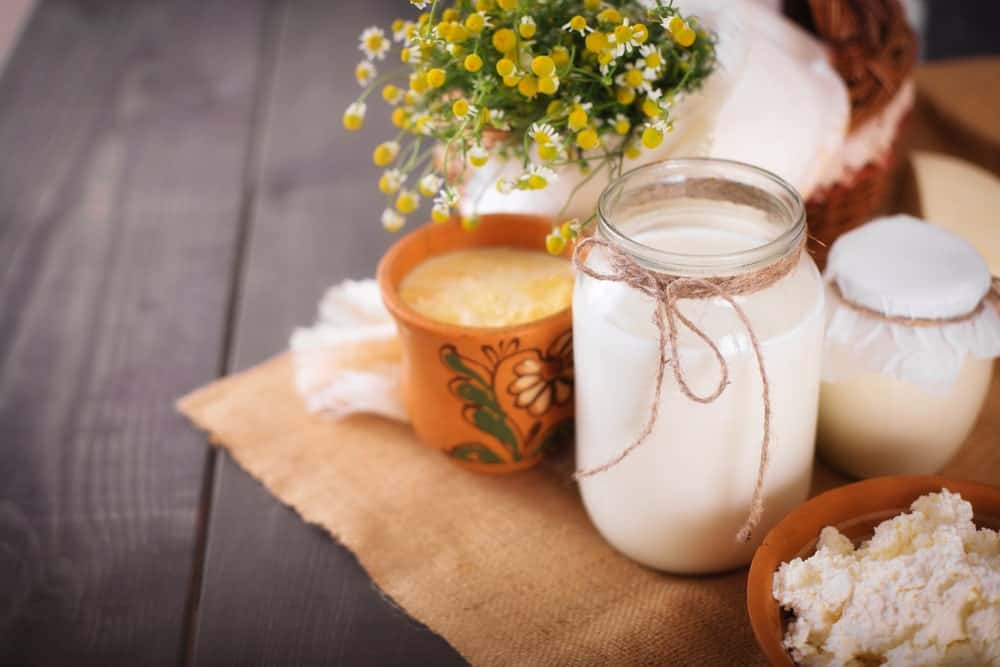 โยเกิร์ตนมแพะ Goat’s Milk Yogurt