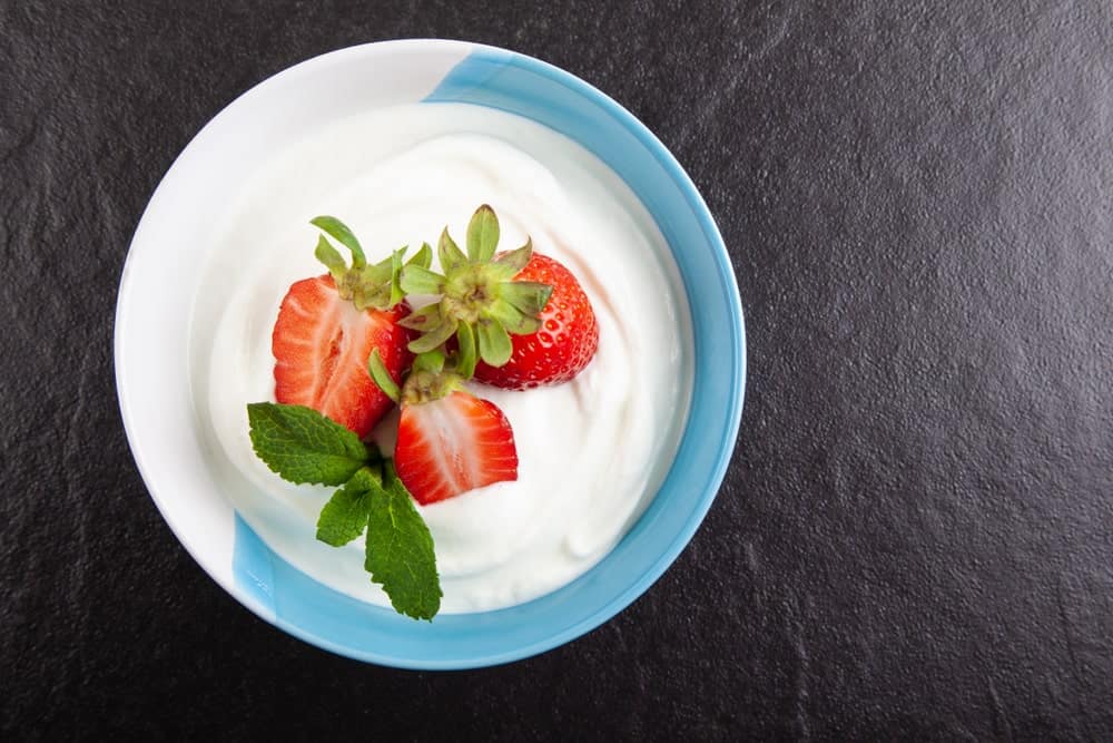 ไอซ์แลนด์โยเกิร์ต Icelandic Yogurt (สเกียร์ Skyr)