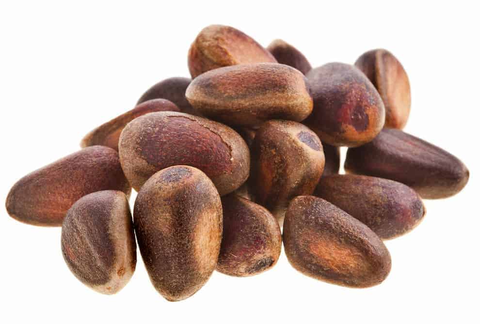 A bunch of Cedar nuts.