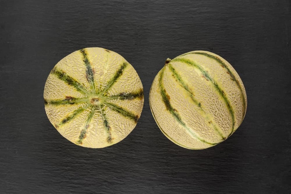 A couple of European cantaloupes on a dark surface.