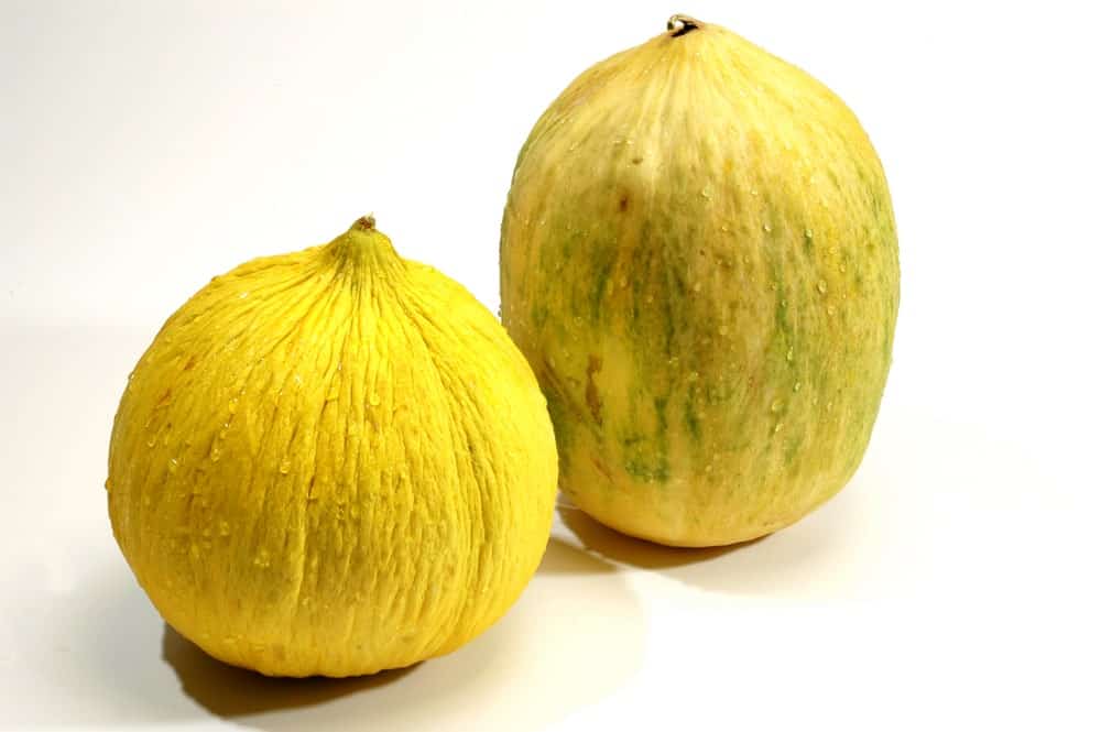 A look at the Casaba Melon on the left and the Crenshaw Cantaloupe on the right.