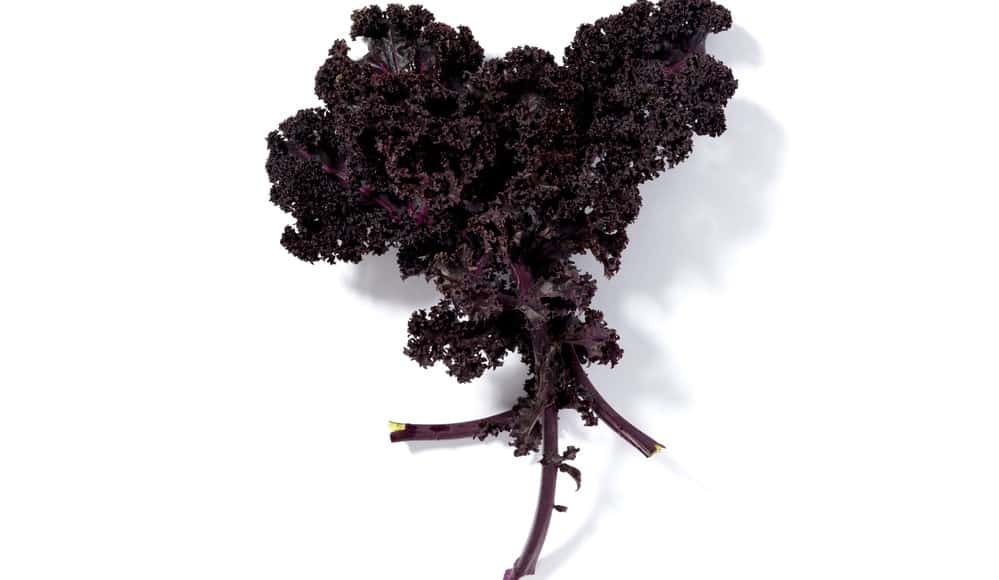 A cluster of Redbor Kale.