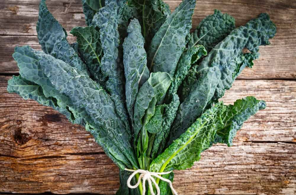 A bundle of Lacinato Kale on a wooden surface.