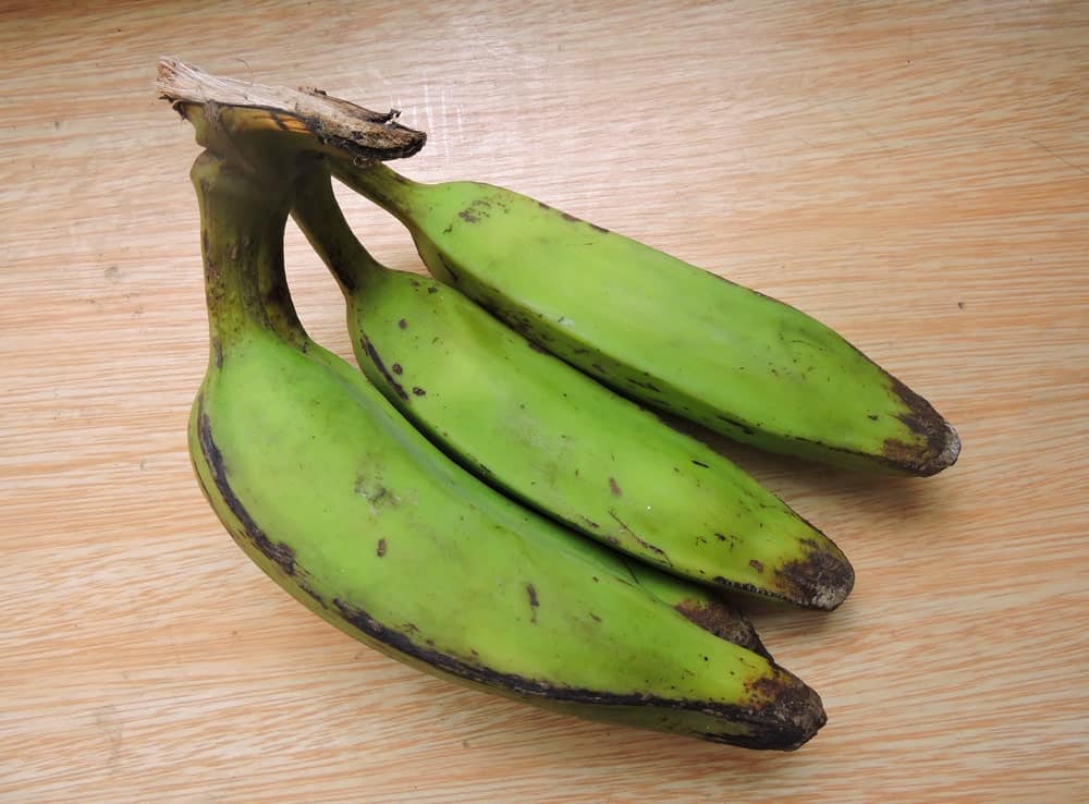 A cluster of raw Manzano bananas.