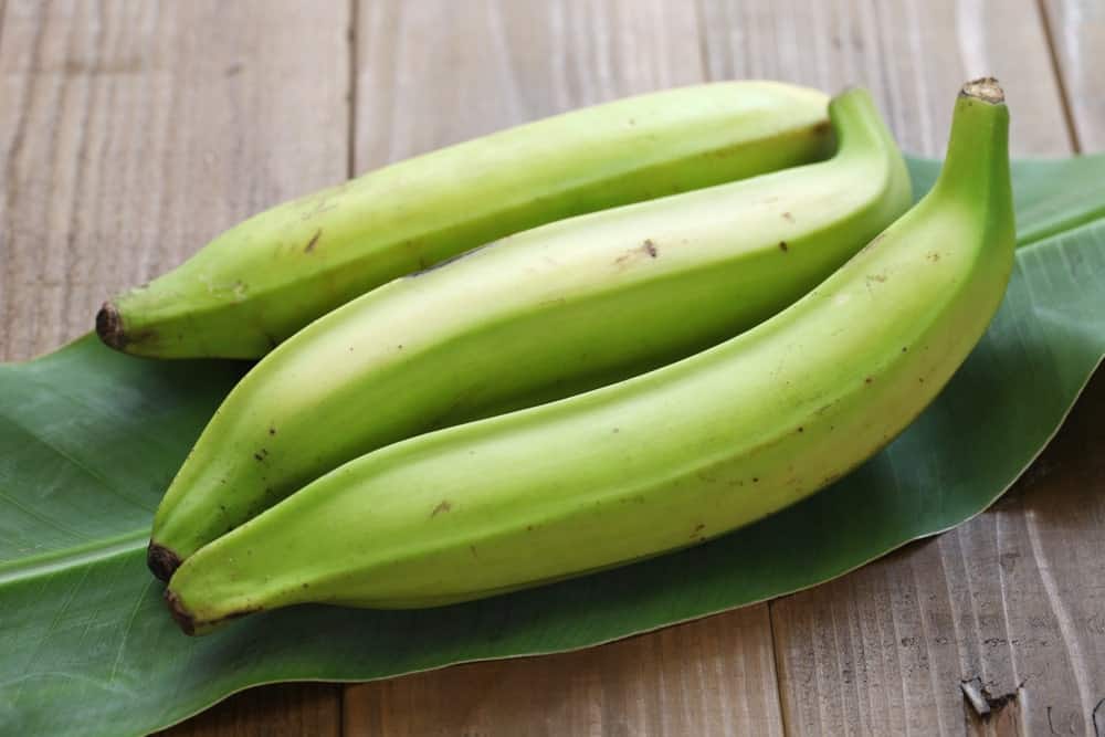 Three pieces of unripe green plantains.