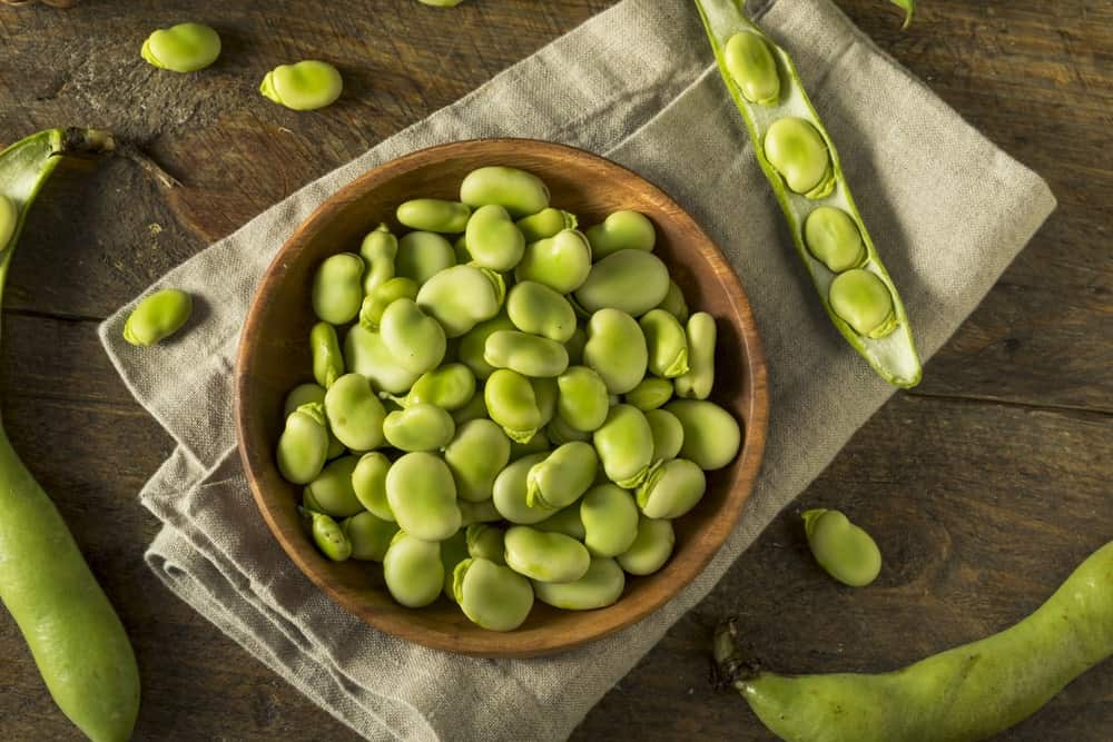 A look at a wooden bowl of fava beans.