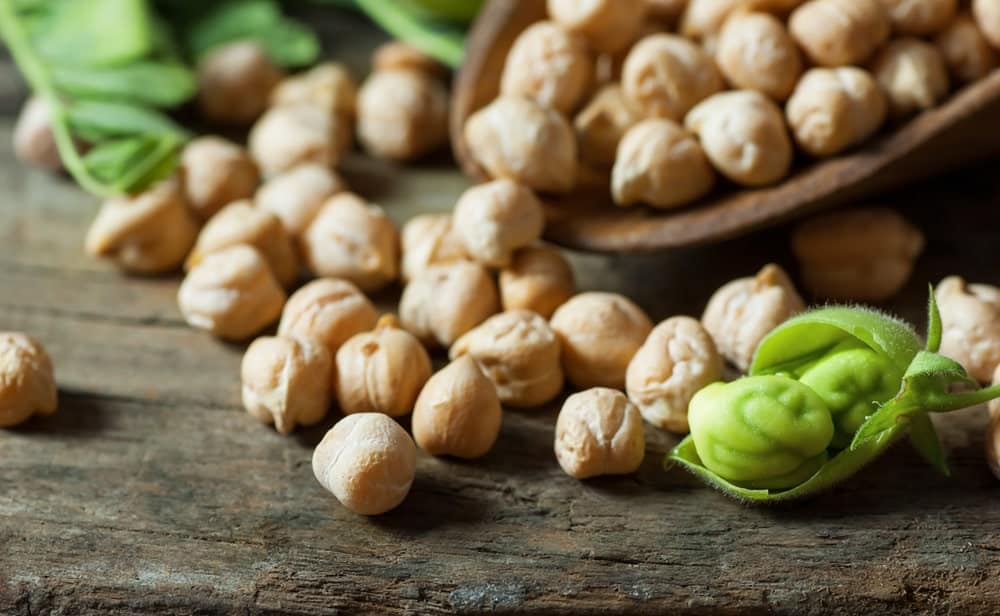 A close look at a bunch of chickpeas.