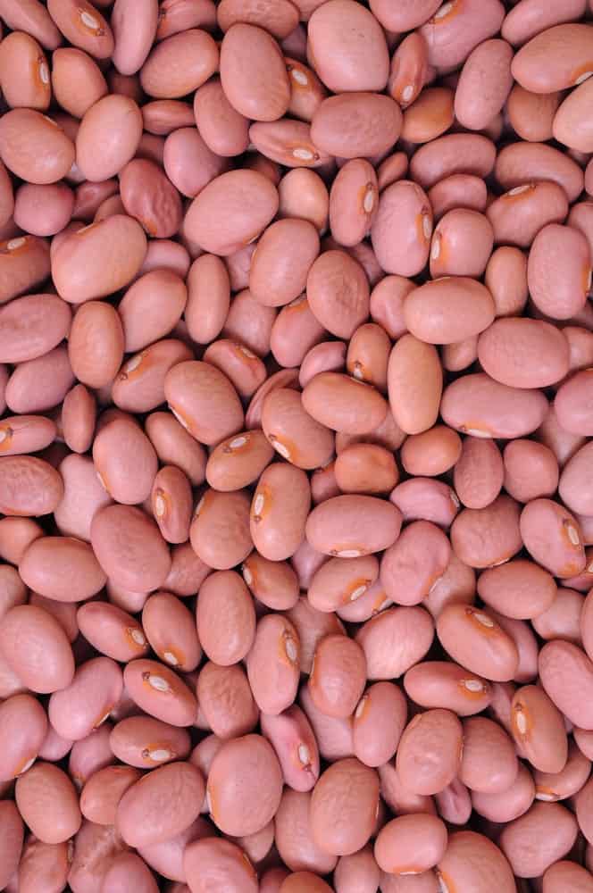 A close look at a heap of pink beans.