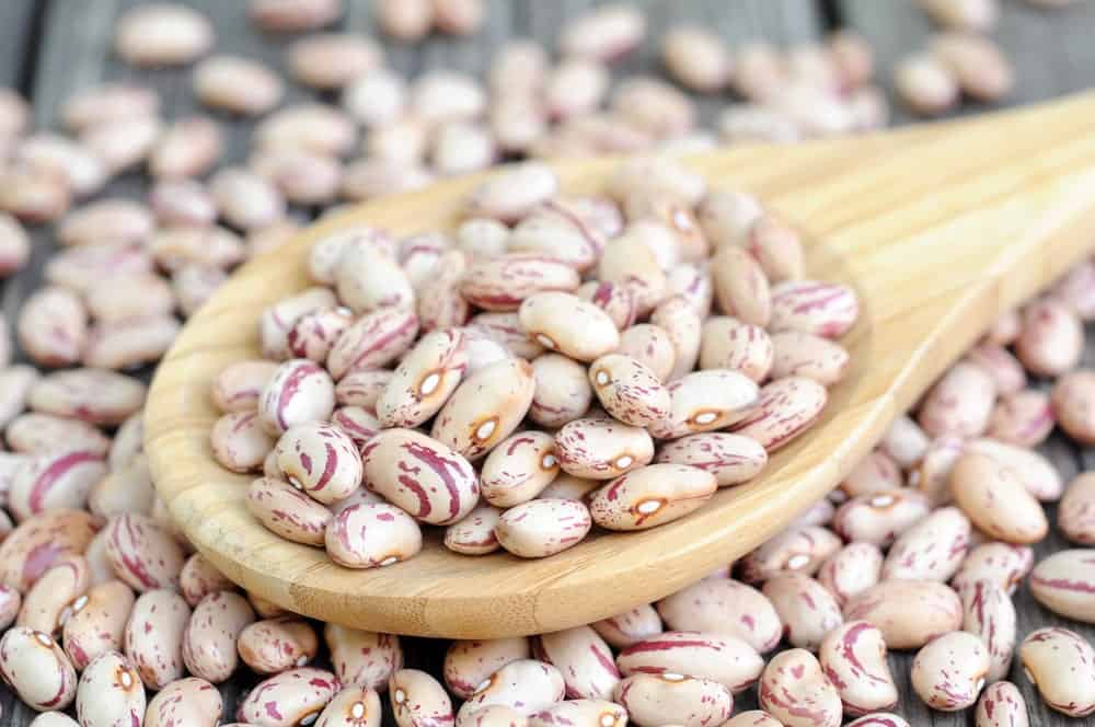 A look at a heap of Roman beans scooped with a wooden spoon.