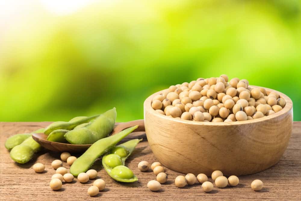 A close look at a wooden bowl filled with soybeans.