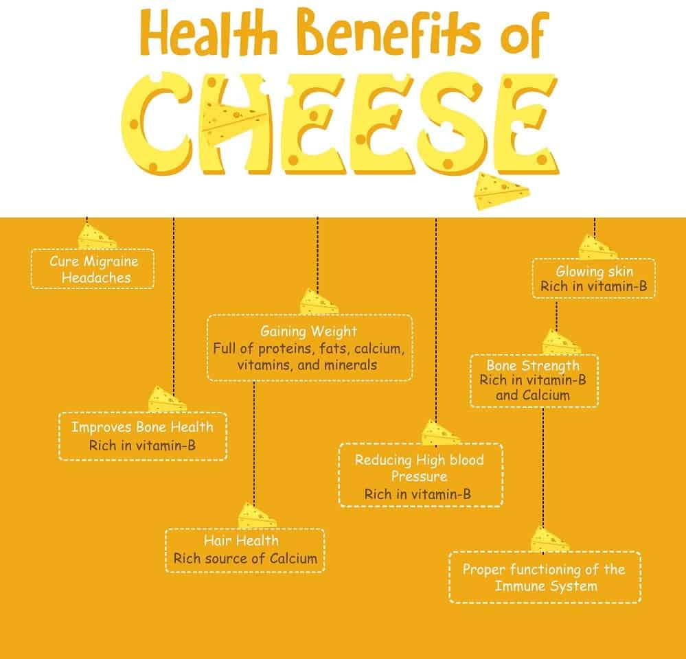 An illustrative chart depicting the health benefits of cheese.