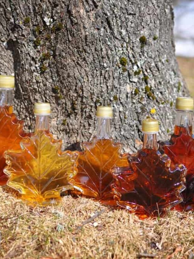 A row of different maple syrups in decorative leaf-shaped bottles.
