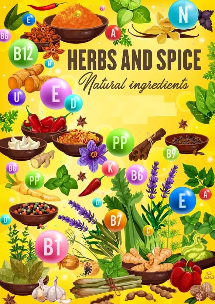 An illustrative chart depicting the health benefits of herbs and spices.