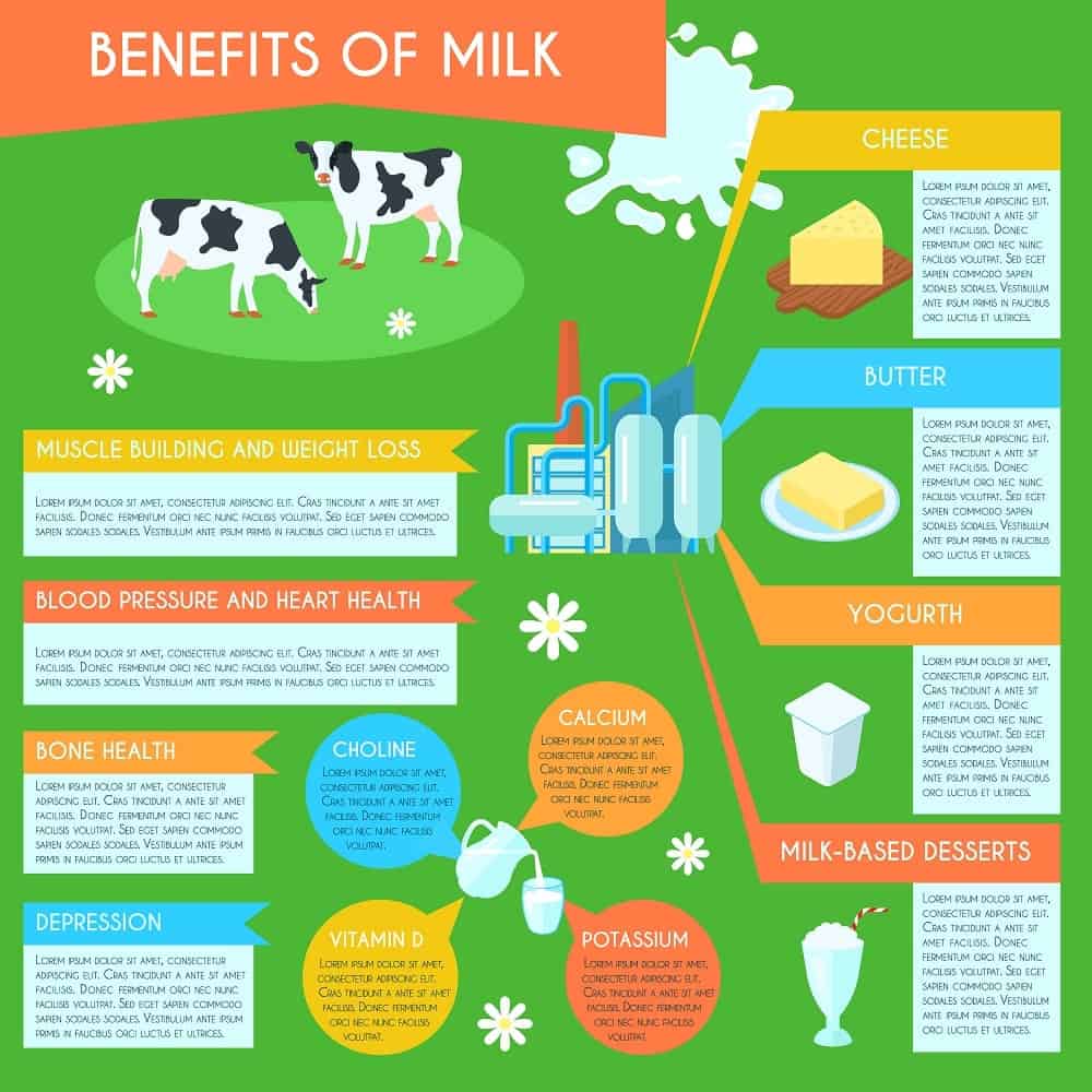 An illustrative chart depicting the health benefits of milk.